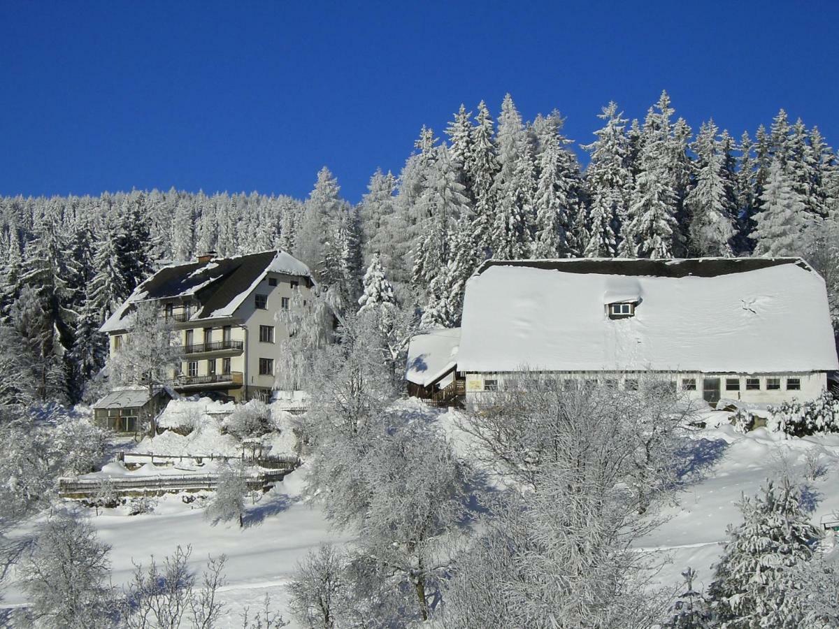 Вилла Urlaub Am Bauernhof Grabenhofer Санкт-Якоб-им-Вальде Экстерьер фото