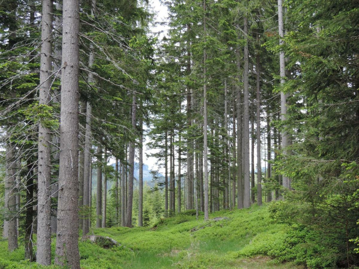 Вилла Urlaub Am Bauernhof Grabenhofer Санкт-Якоб-им-Вальде Экстерьер фото