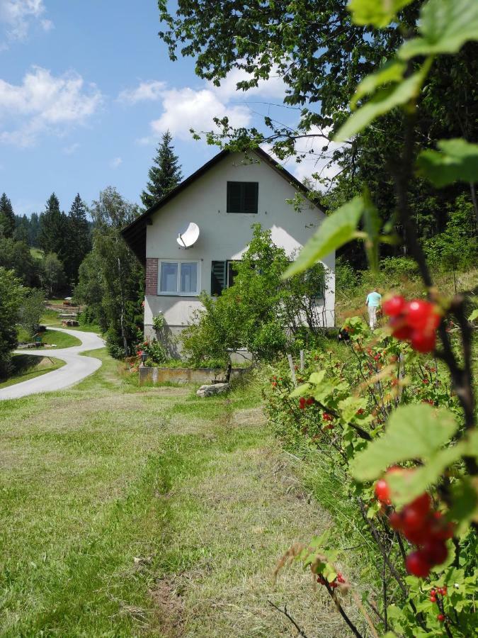 Вилла Urlaub Am Bauernhof Grabenhofer Санкт-Якоб-им-Вальде Экстерьер фото