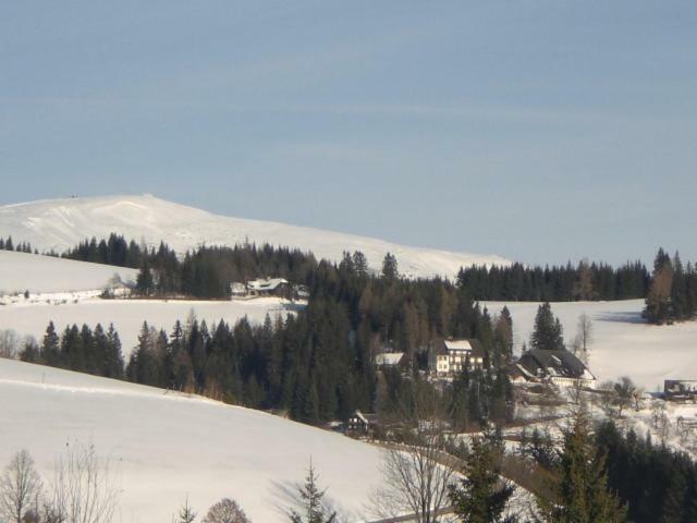 Вилла Urlaub Am Bauernhof Grabenhofer Санкт-Якоб-им-Вальде Экстерьер фото