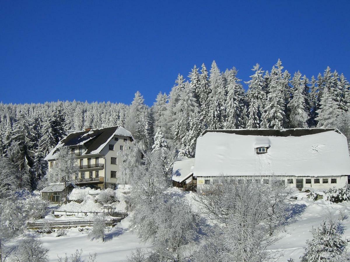 Вилла Urlaub Am Bauernhof Grabenhofer Санкт-Якоб-им-Вальде Экстерьер фото